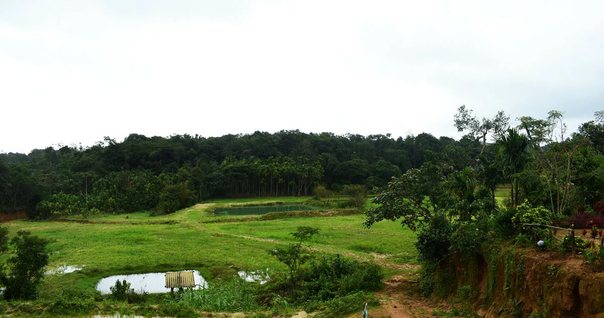 Gowdahalli Forest Homestay
