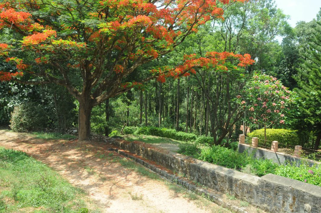 Banglemane Homestay