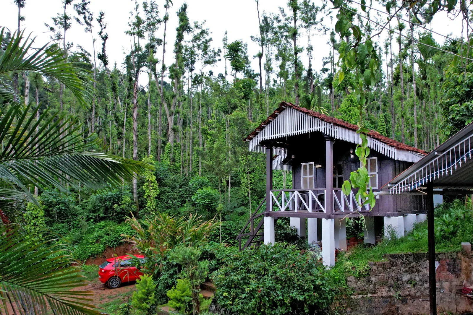 Jungle Greens Homestay