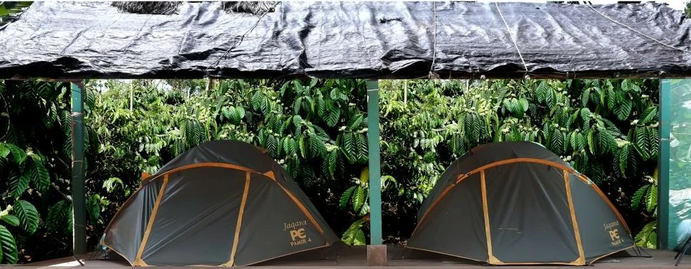 Tent